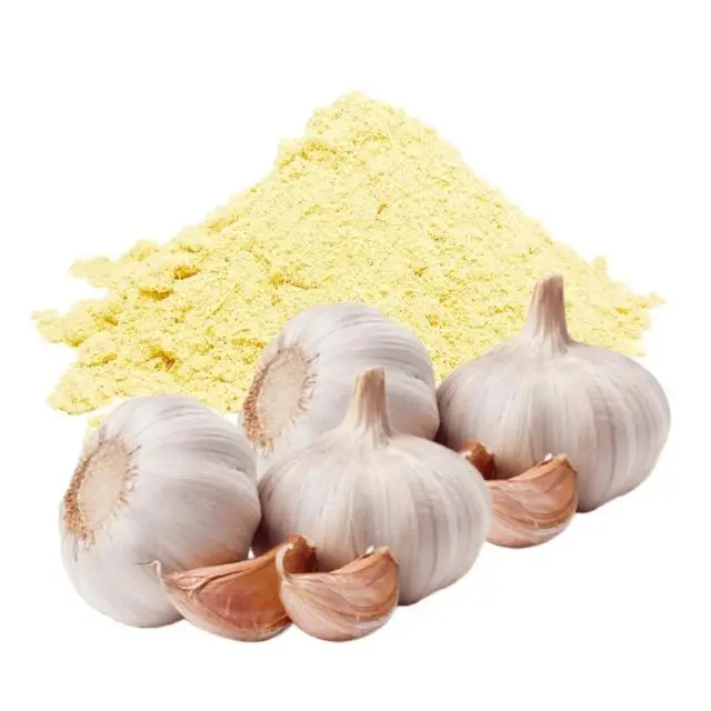 Best Grade garlic powder price for cooking  from India