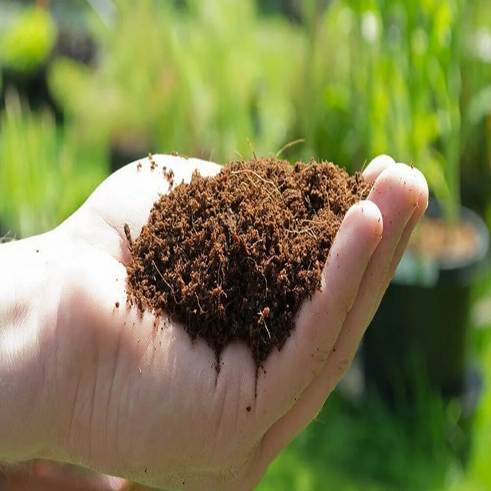 Cocopeat Washed cocopeat 100% Organic Coconut Product Cocopeat made in Viet Nam Garden Pots & Planters