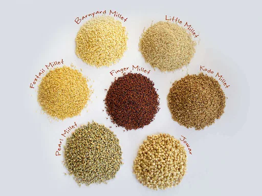Best Selling Pure Quality Millet Reasonable Price Millet