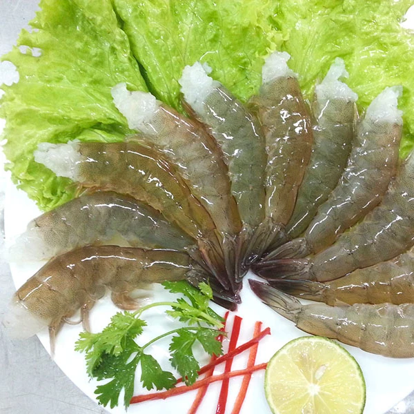 Wholesale high quality seafood frozen dry red shrimp supplier / Vannamei shrimp