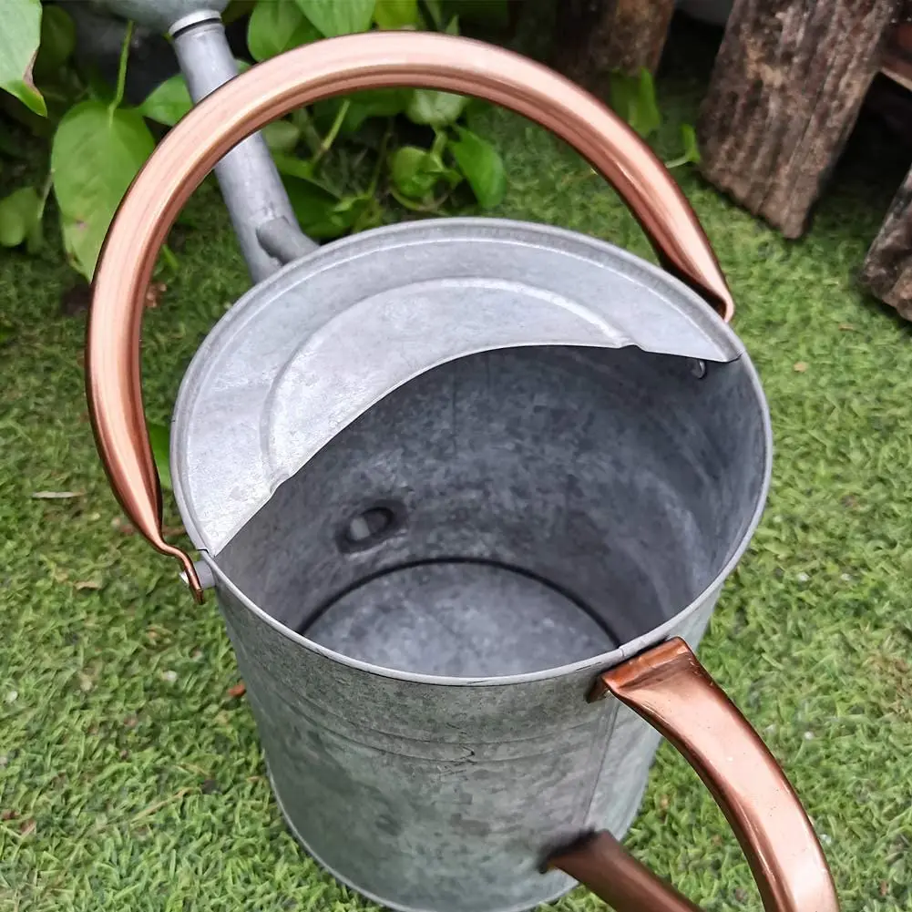 Металлические лейки 1 галлон для наружного и внутреннего растения декоративные в фермерском стиле винтажная оцинкованная сталь Лейка