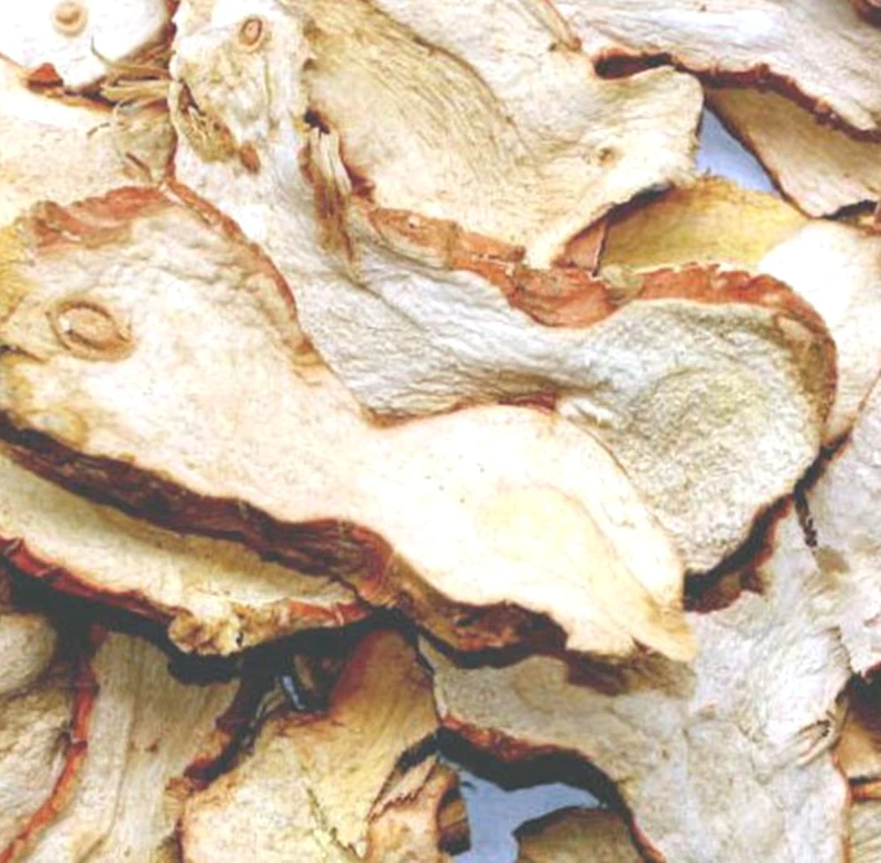 100% GALANGAL DRIED SLICES CHUNKY CUT ROOT RHIZOME ORGANIC NATURAL HERBS SPICY PREMIUM QUALITY NO CHEMICAL PRODUCT OF THAILAND