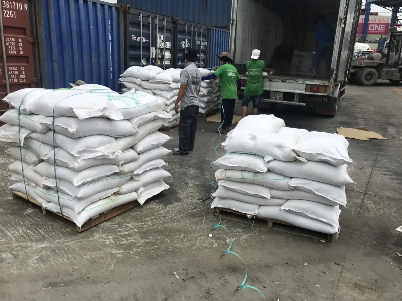 Cheap Price Green Seaweed Powder Fertilizer /Green Seaweed  For Animal Feed