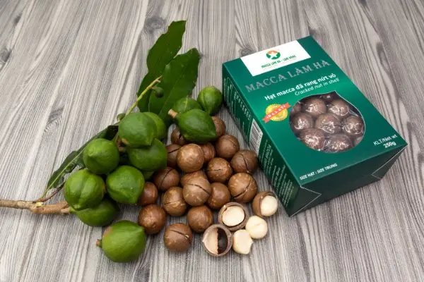 ISO Certification Dry Cracked in Shells Nutritious Seeds  Organic Cultivation Type Macadamia nuts (green box) from Vietnam