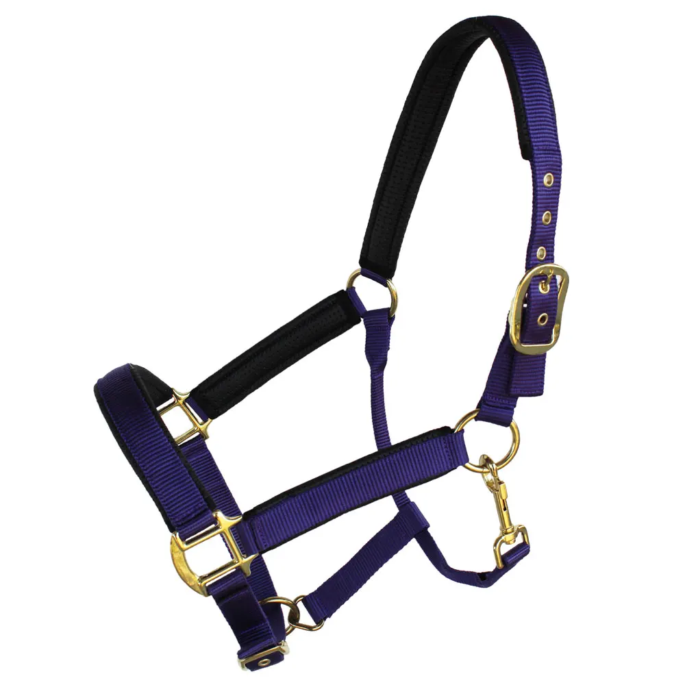 
Wholesale High quality Horse Riding Rope Halter colorful horse nylon rope halter 
