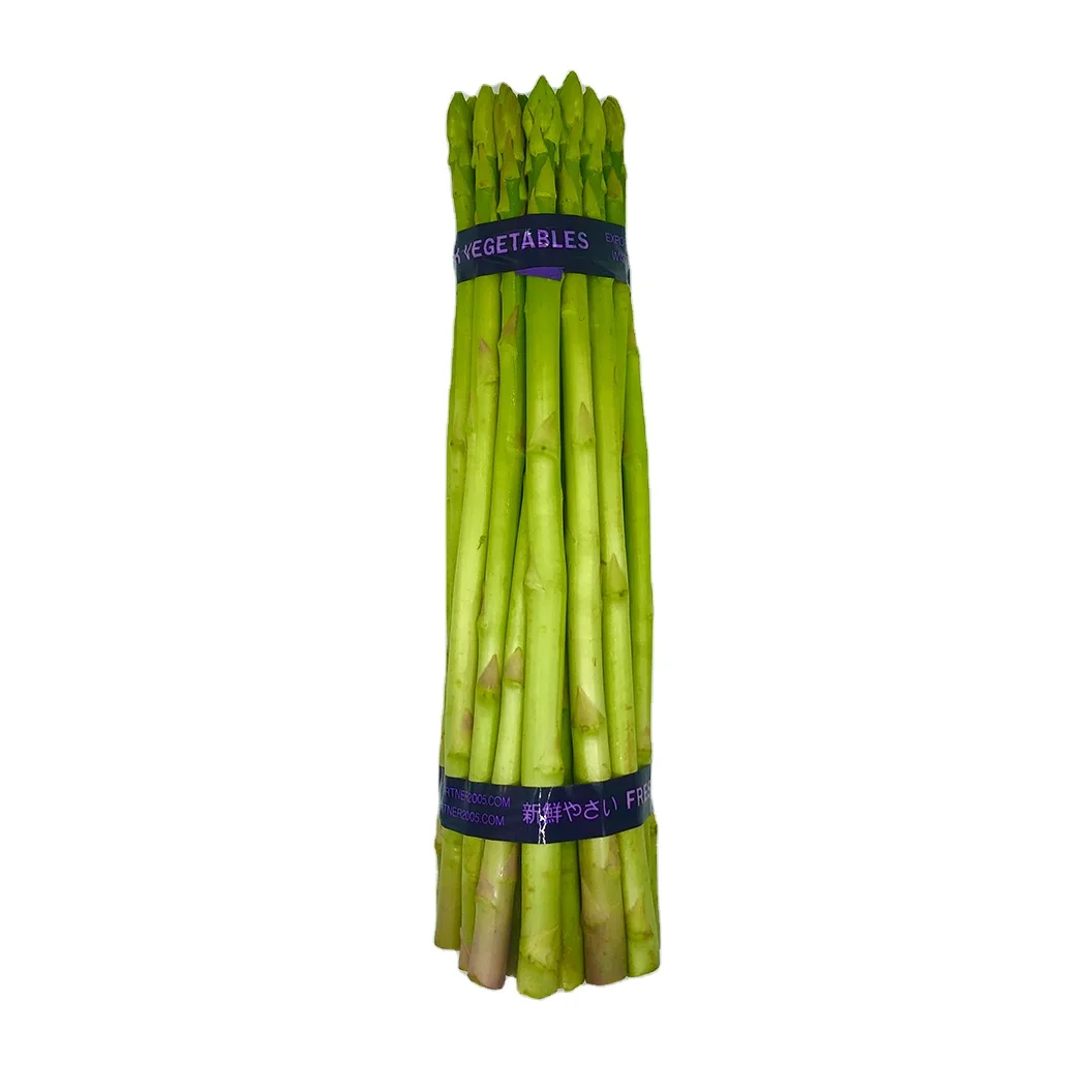 Premium Fresh green Asparagus from Local farmer in Thailand Guarantee Freshness and quality.