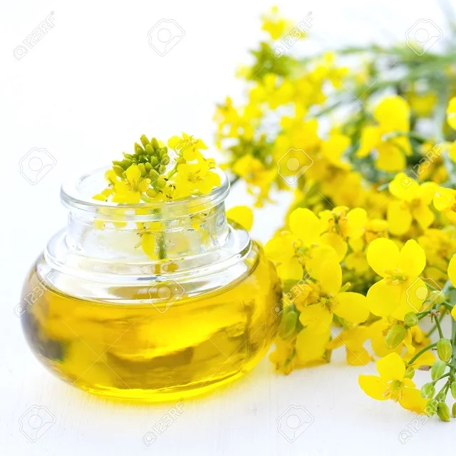 Качество Рафинированное Рапсовое/рапсовое масло