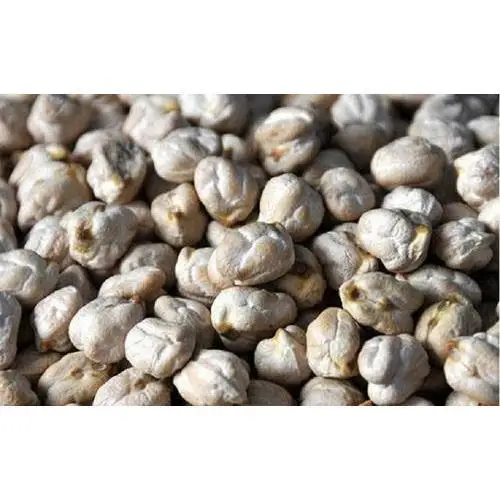 
Chickpeas Kabuli Chickpeas Dried Kabuli Chana india pulses for export 