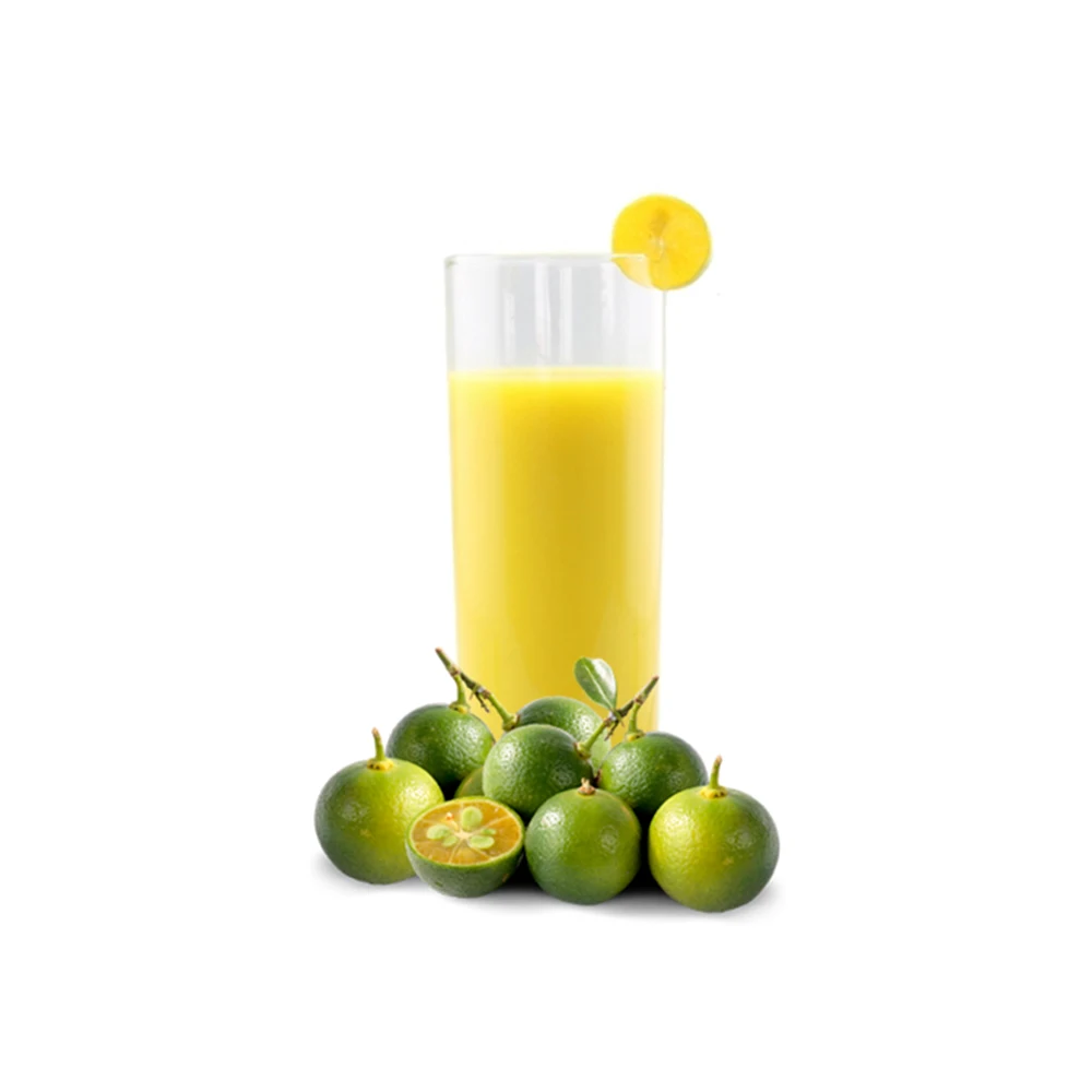 Vietnam Supplier Natural Juice Concentrate Frozen Calamansi Juice Drink