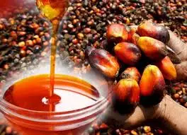 Cooking Oil Supplier Palm Oil RBD PALM OLEIN CP10-CP8-CP6 Olein From Malaysia