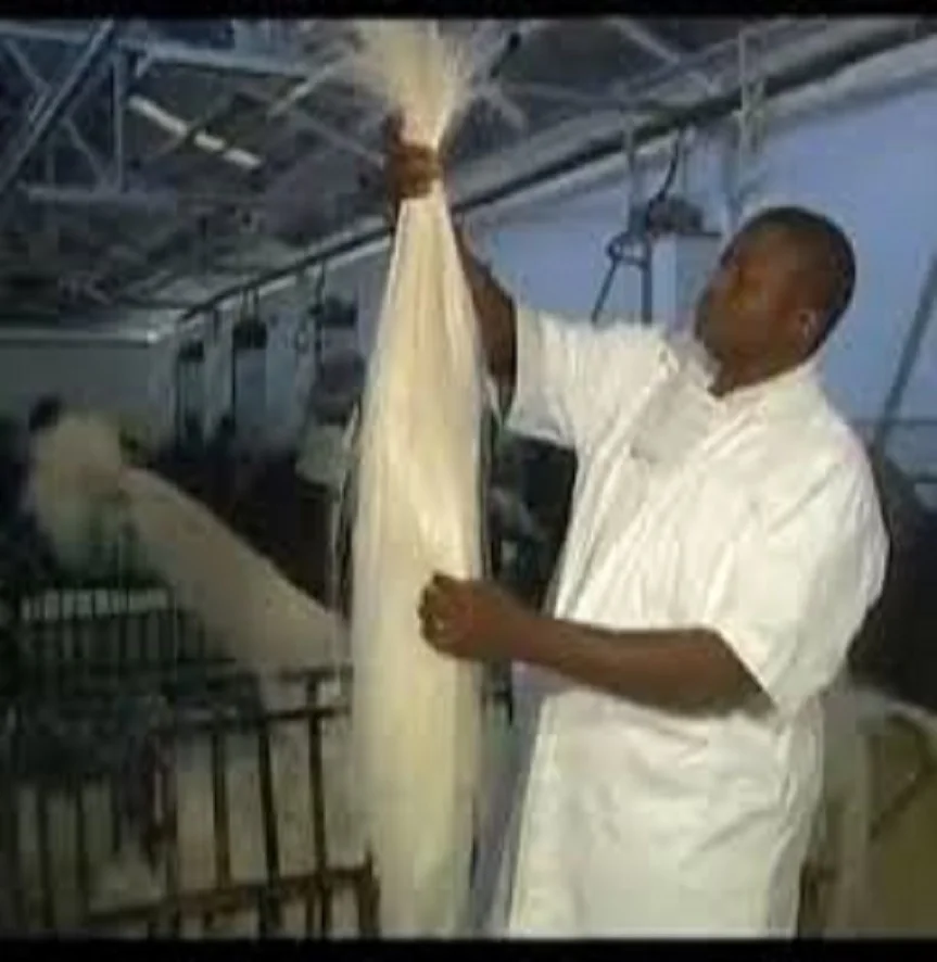 Sisal Fibers From Kenya