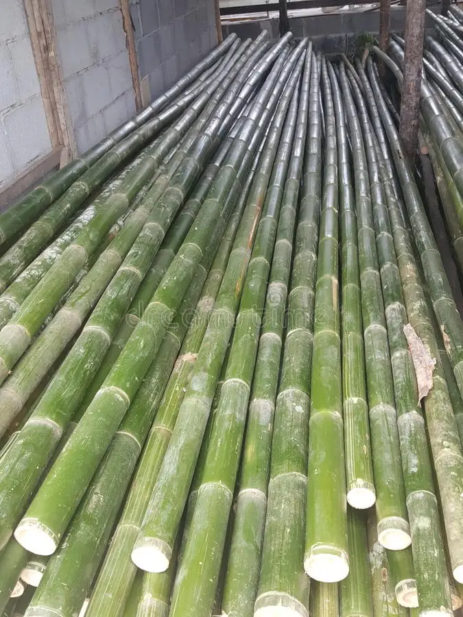 Вьетнамские бамбуковые палочки по лучшей цене/бамбуковые для садоводства и украшения/бамбуковые 100% натуральные