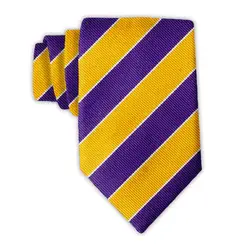 Beau Ties of Vermont | Scholastic Purple/Gold Necktie | Handcrafted in USA