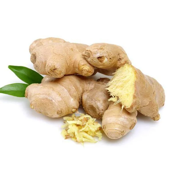 Buyer Dried Ginger 2022 Fresh Ginger