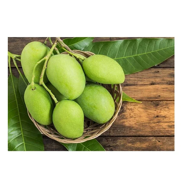 Best Seller Of Fresh Mangoes At Low Prices