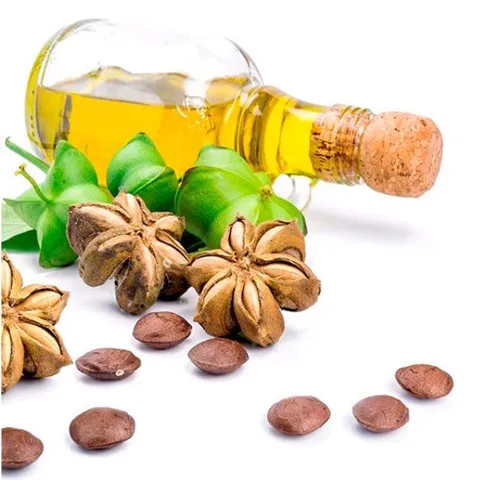  Специальный Вкусный орех SACHA INCHI NUT/вьетнамский - Ms Elaine + 84 375 431 541(WhatsApp)