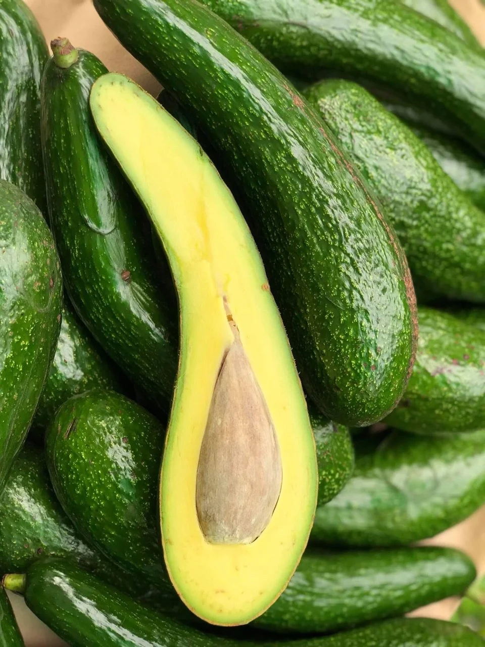 Long neck Avocado from Vietnam - Ms.KIO HUYNH +84 34 375 8904