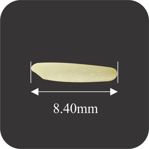 1509 Creamy Sella Rice