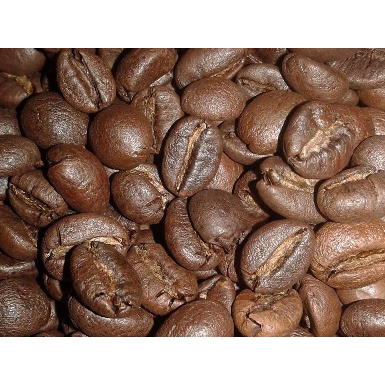 Langbiang Coffee Beans Dry To The Standard Made Sticky Like Honey Moisture Robusta Honey S16