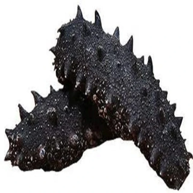 Wholesale Price Dried Sea Cucumber