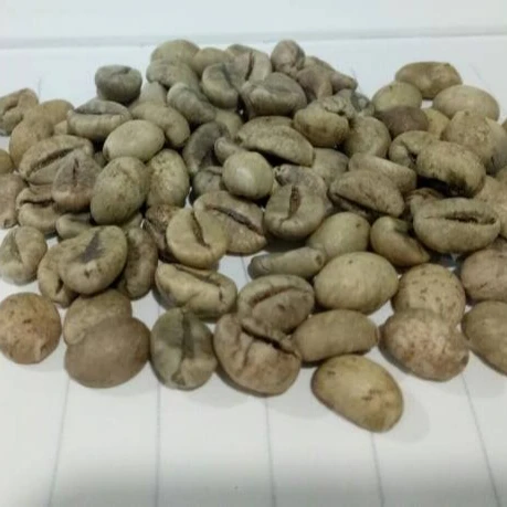 
Competitive Price for Green Robusta Coffee Bean 