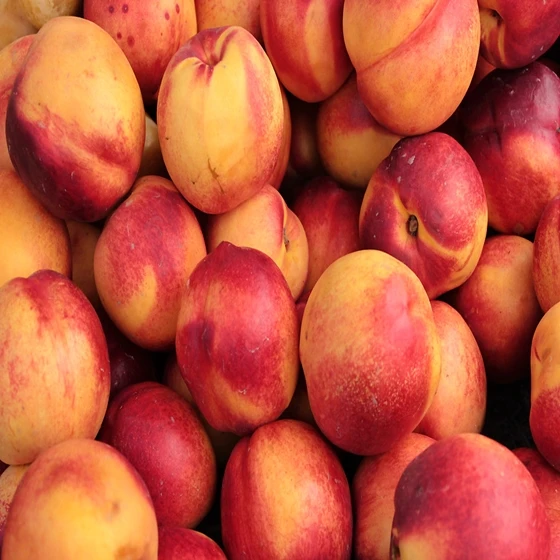 
Fresh Nectarines 