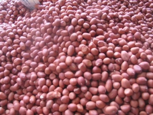 Raw-Peanut.jpg