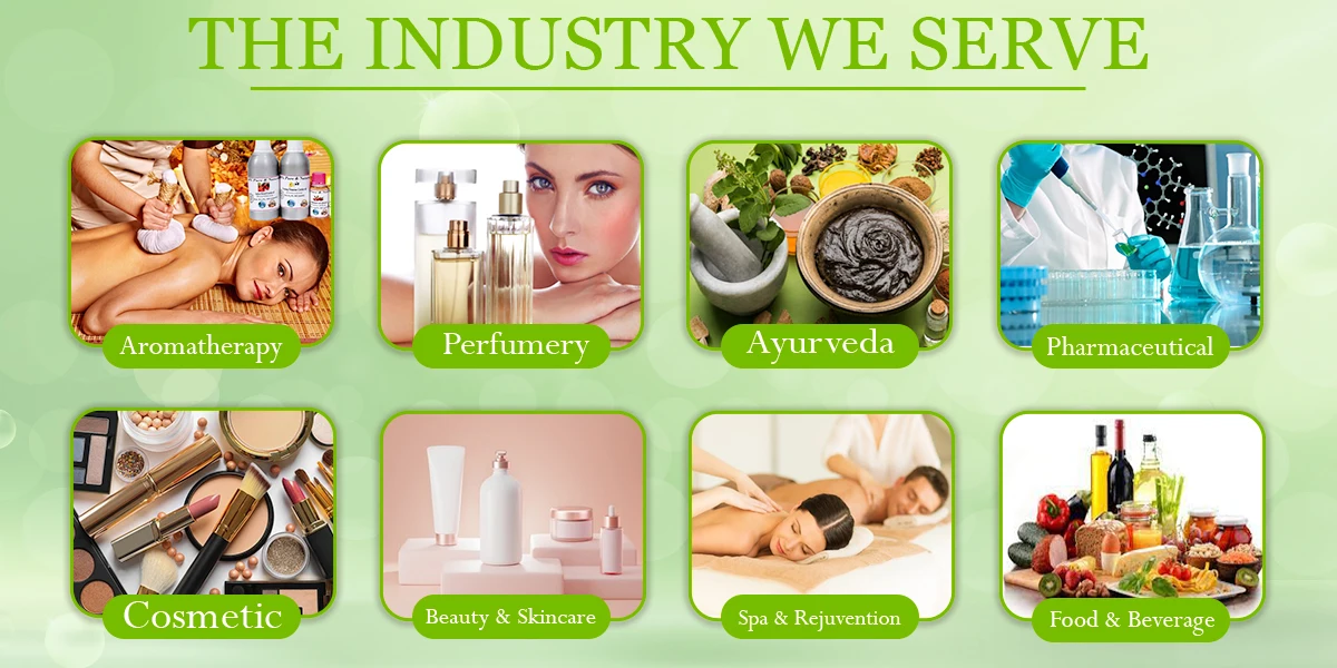 Industry we serve