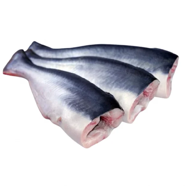 Pangasius HGT/Basa/Pangasius Hypophthalmus For Sale