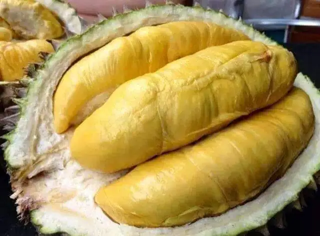 Best Price Sweet and Rich Fatty Organic VIETGAP Certification 1.8kg - 4kg Per Piece Fresh Durian Fruit