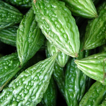 Best Quality Indian Exporter Wholesale Price Green bitter gourd (karela)Fresh Vegetables Green bitter gourd Exporter from India.
