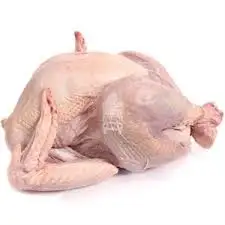 
High Quality Fresh Frozen Turkey Breast 