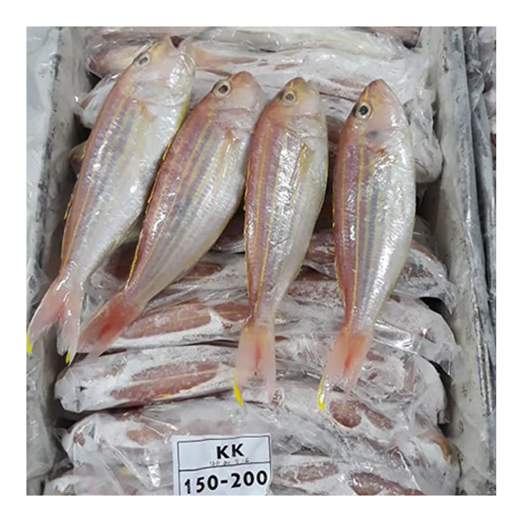 
Yellowbelly Threadfin Sea Bream Fish 