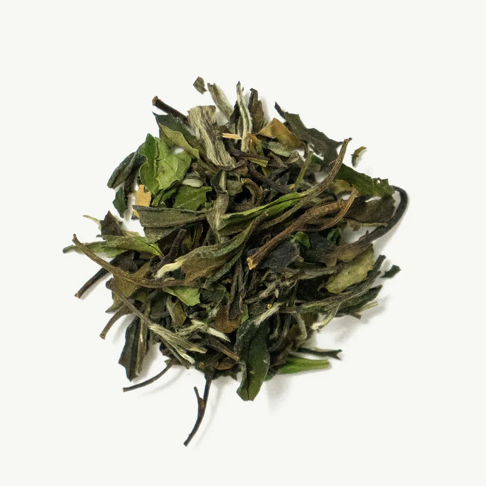 
White Peony - 2oz White Floral Tea Shimmering Golden Liquor Delicate Floral Fragrance Flavor Tea White Tea 