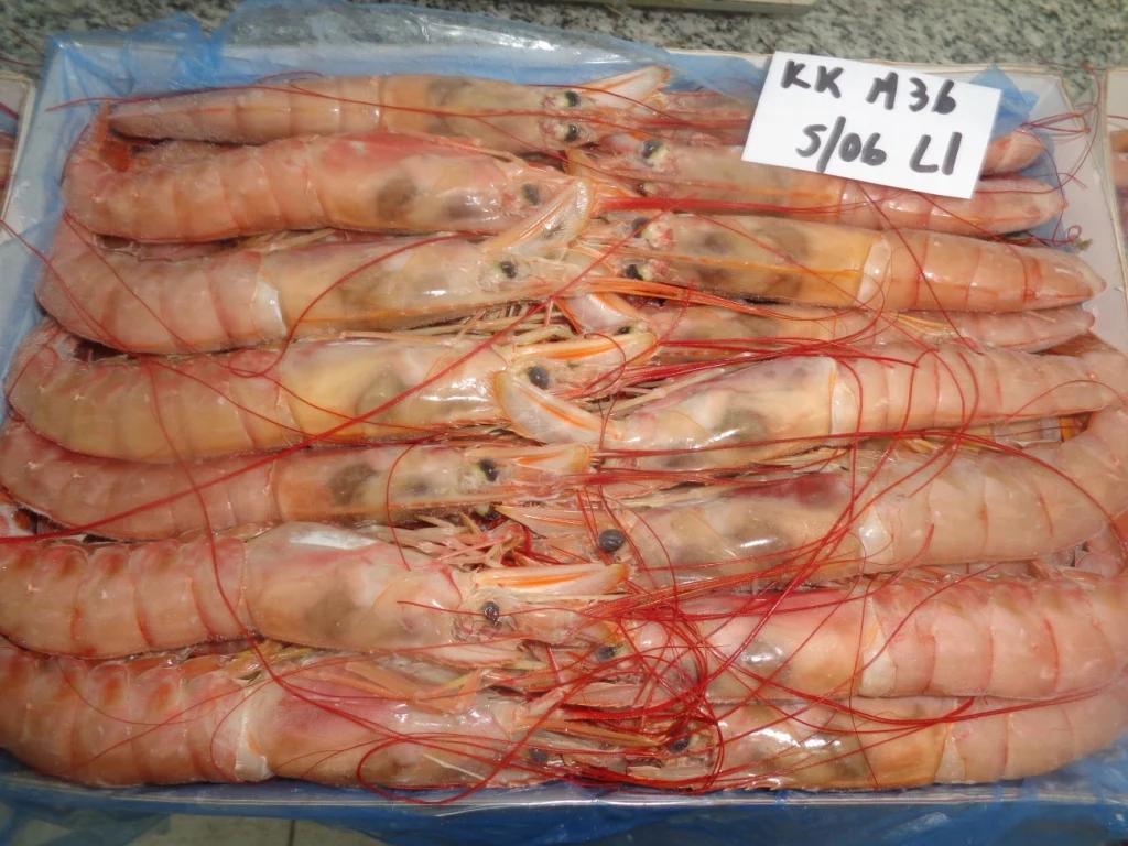 FROZEN RED SHRIMP -HEAD ON SHELL ON AND HEADLESS SHELL ON MOST POPULAR STANDARD QUALITY