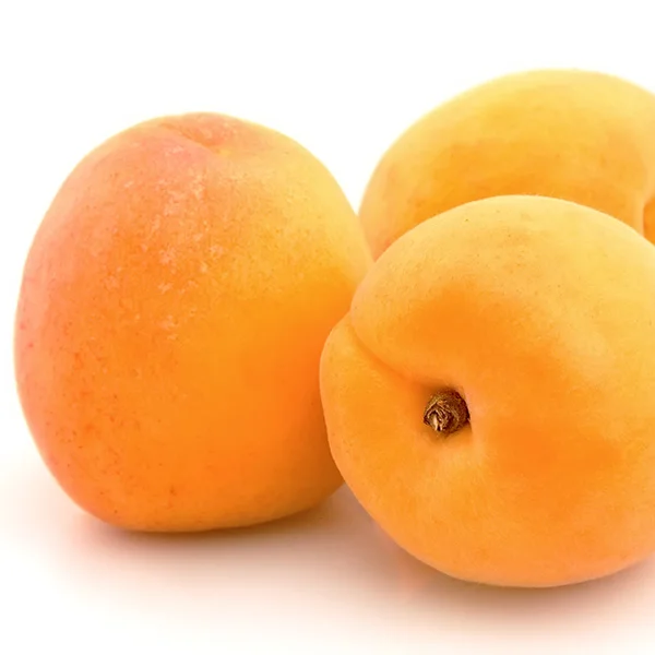 
Quality Fresh Apricots Now Available on 30% Discount Sale Ready for Export 