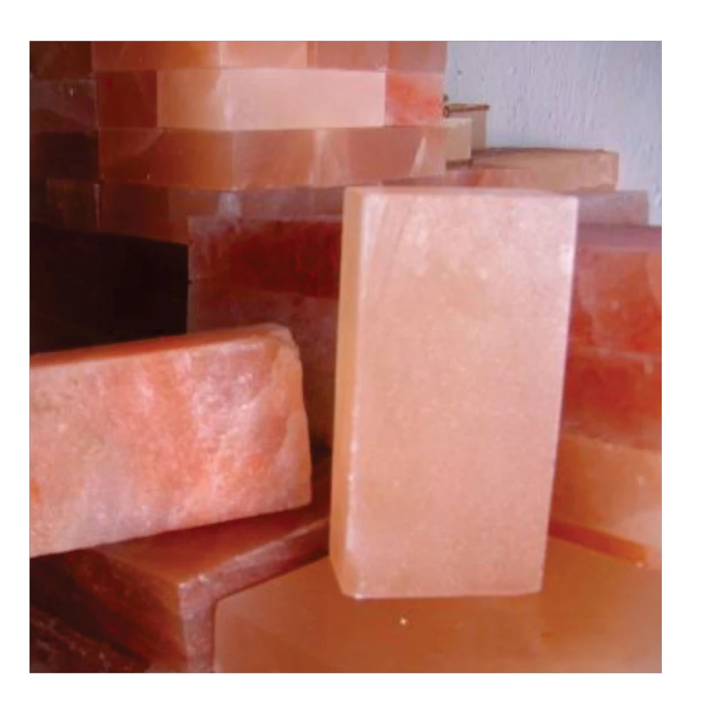 Best Price Himalayan Pink Salt BBQ Tile & Dark Pink Salt Bricks For SPA and Cooking Room Construction Bricks