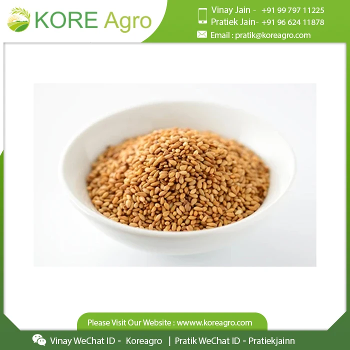 Organic Sesame Roasted For Wholesale Buyers Buy at Low Price