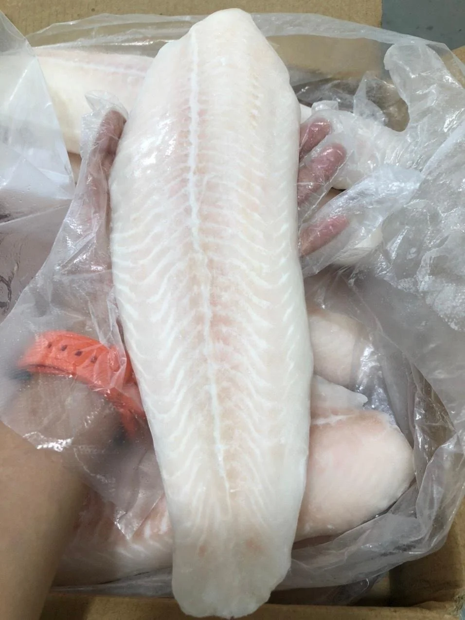 High quality Frozen Pangasius/ Basa Fillet