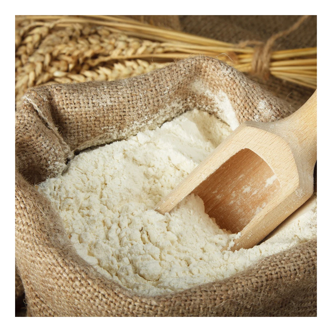 
Best quality wheat flour for baking 1st grade, flour wheat 