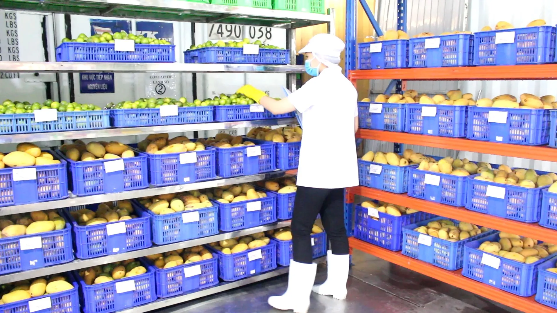 Минеральный Улучшенный напиток VINUT с извесом фруктами и имбирем со сверкающей водой 330 мл