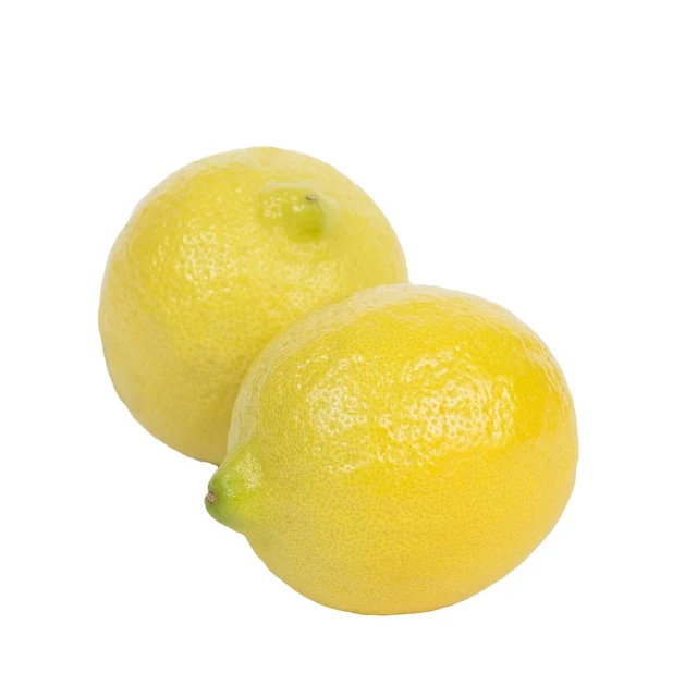 
Fresh Lemon Supplier Wholesaler Best Citrus 