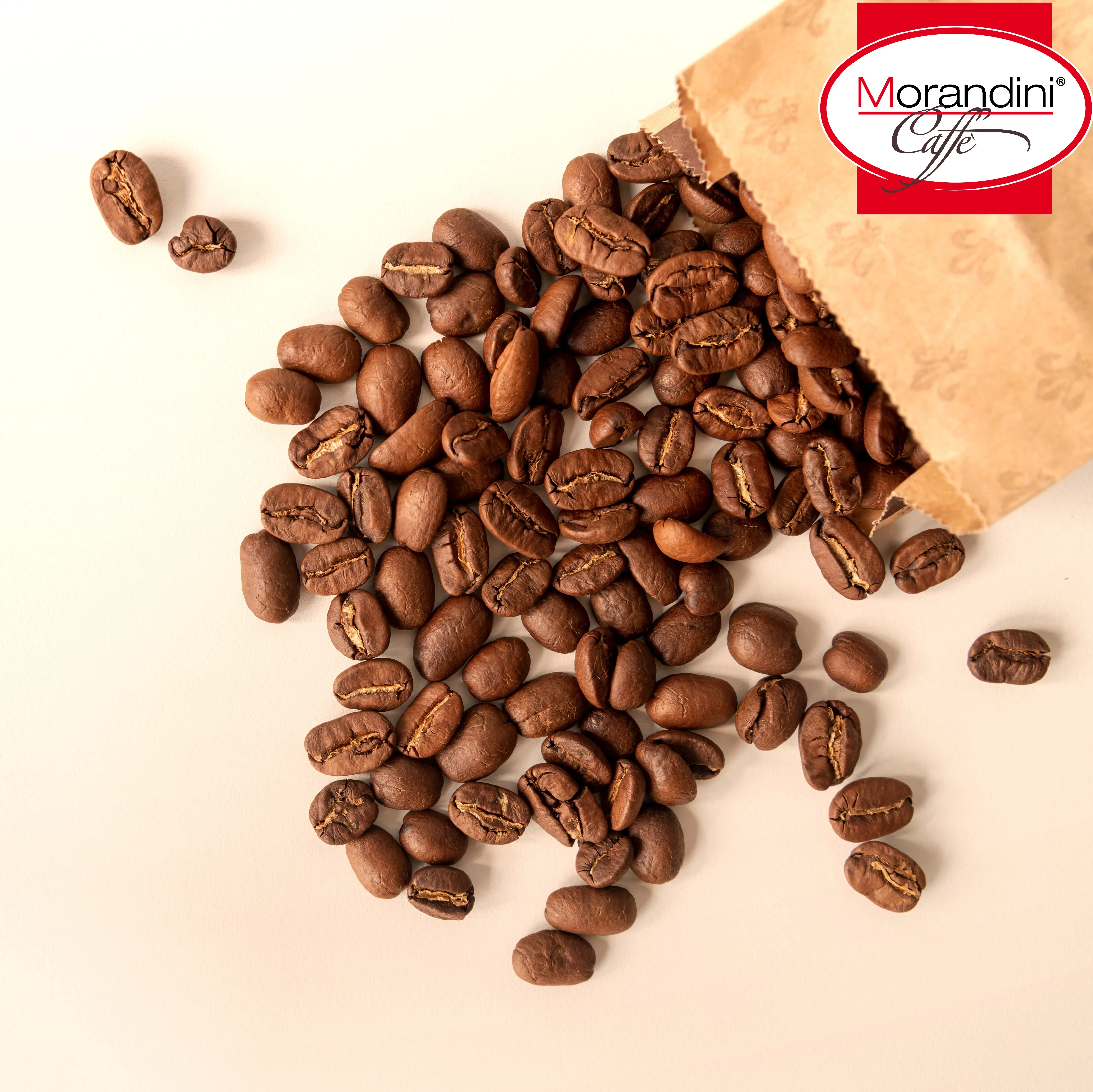 BEST QUALITY Made in Italy roasted coffee beans Caffe Morandini blends 1000g whole beans for retail