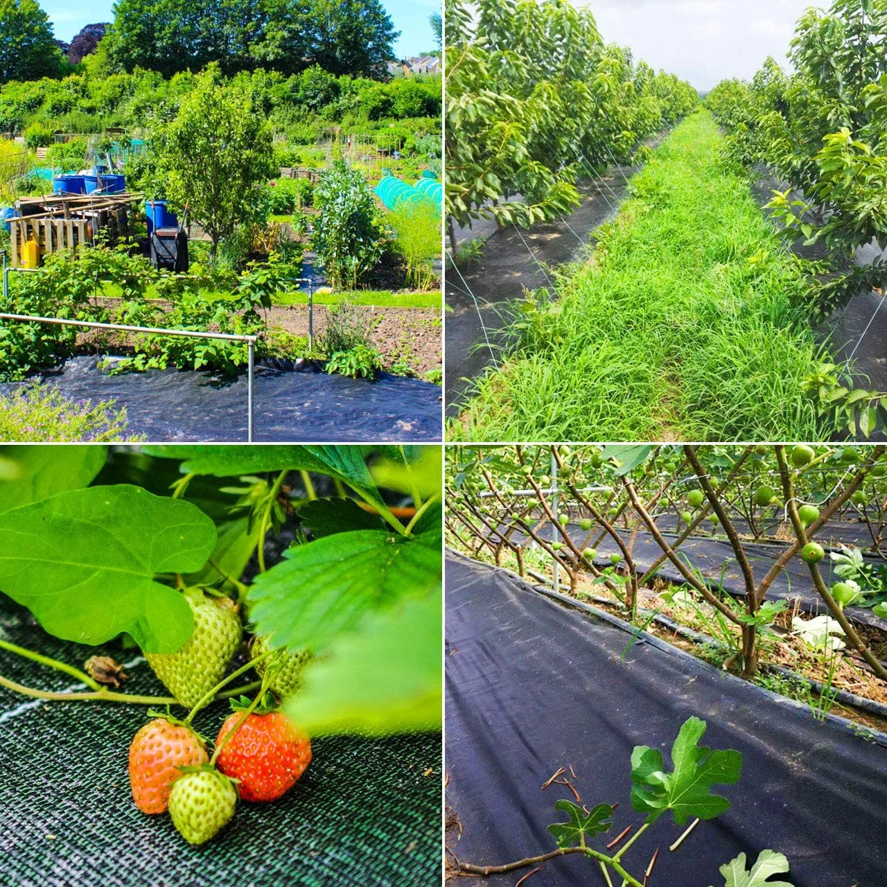 Полипропиленовый тканый барьер для сорняков, Ландшафтная ткань, коврик для сорняков, сельскохозяйственный напольный чехол, геотекстильная ткань