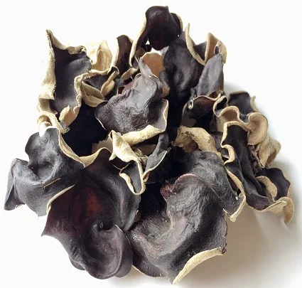 
DRIED WOOD EAR FUNGUS/ WOOD EAR MUSHROOM BEST PRICE HIGH QUALITY FROM VIETNAM (WhatsApp/Wechat: + 84 983 028 718) 