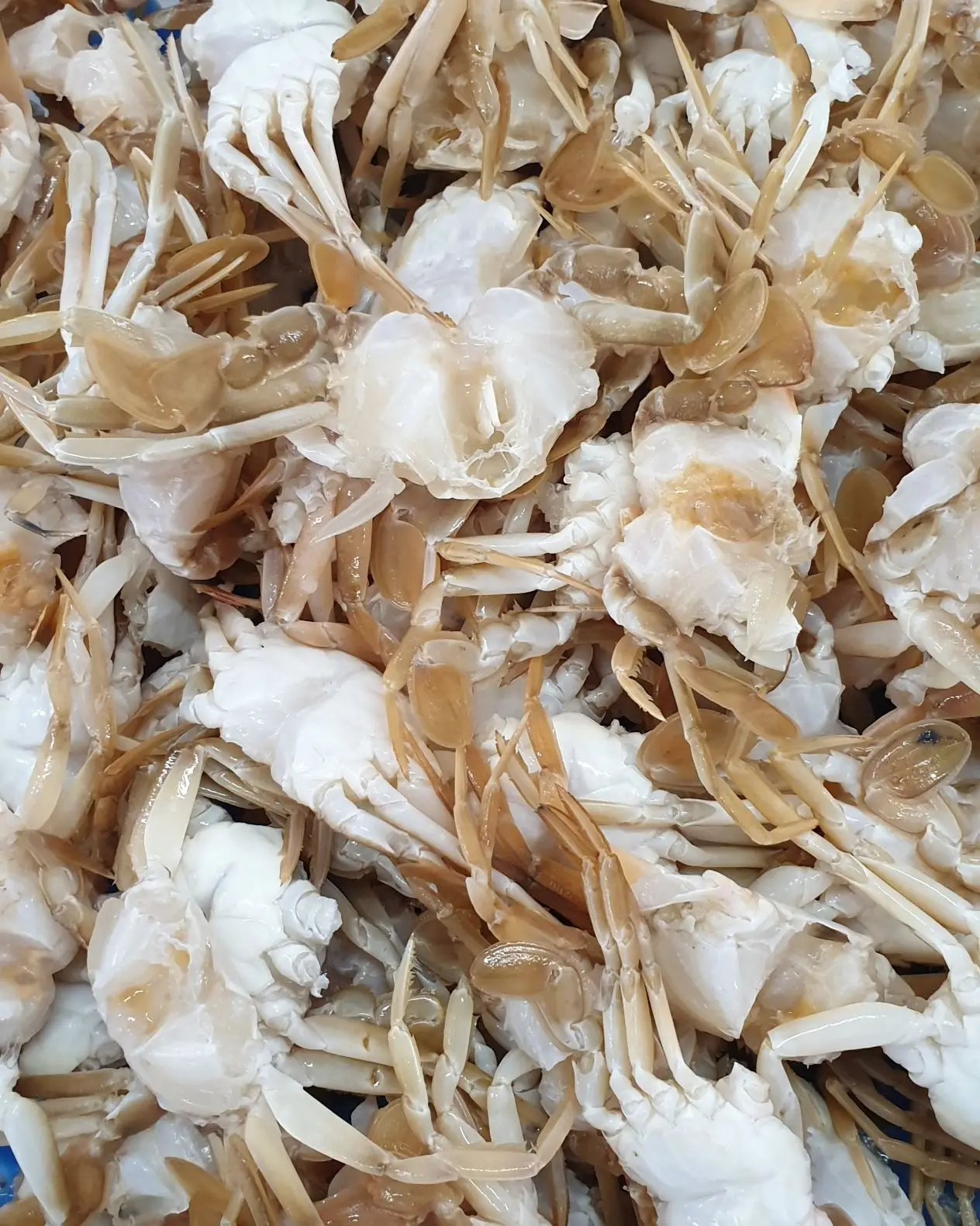 
HIGH QUALITY - FROZEN BABY CRAB 