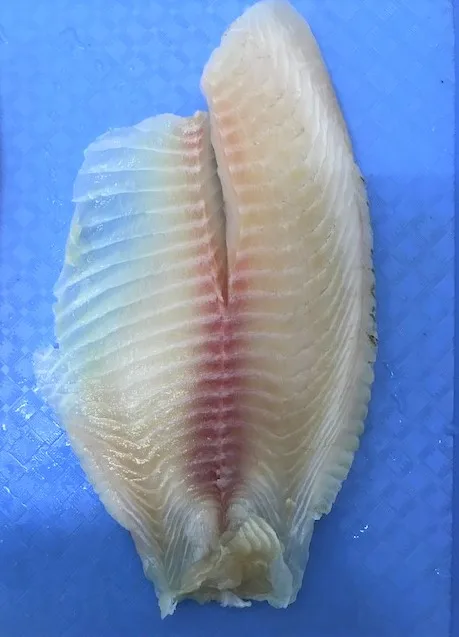 Best Selling Fresh Fish Piece Shape Seafood (5-7 oz/pc) Bulk Packing 10 kg/ctn Skinless Tilapia Fillet