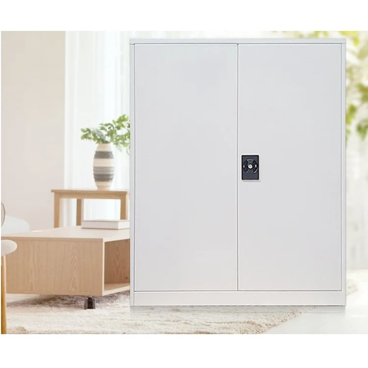 Hot Sale Metal Cabinet Storage 2 Door File Cabinet With Swing Door