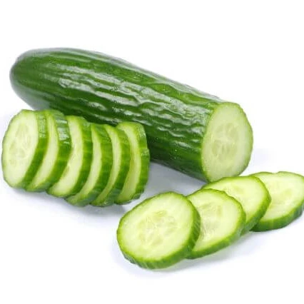 
Vegetables Green Fresh Cucumber for Sale Best Price Style Small Weight Origin 