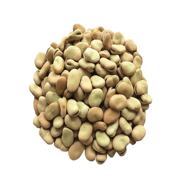 Newest Crop High quality dried fava beans factory wholesale